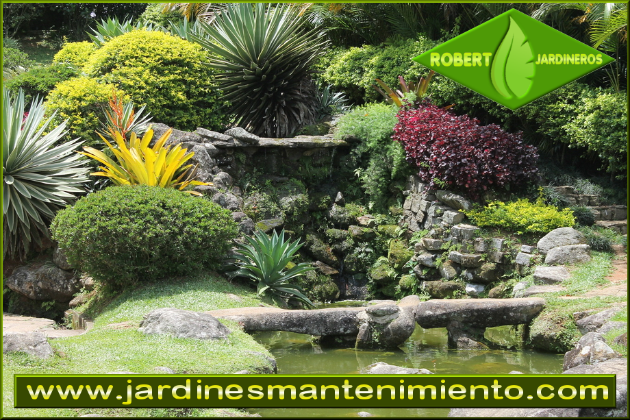 Robert Jardineros cuida de tu jardín en primavera
